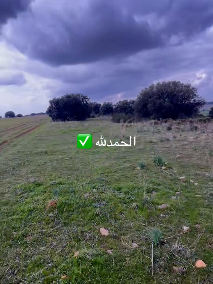 @مسليم