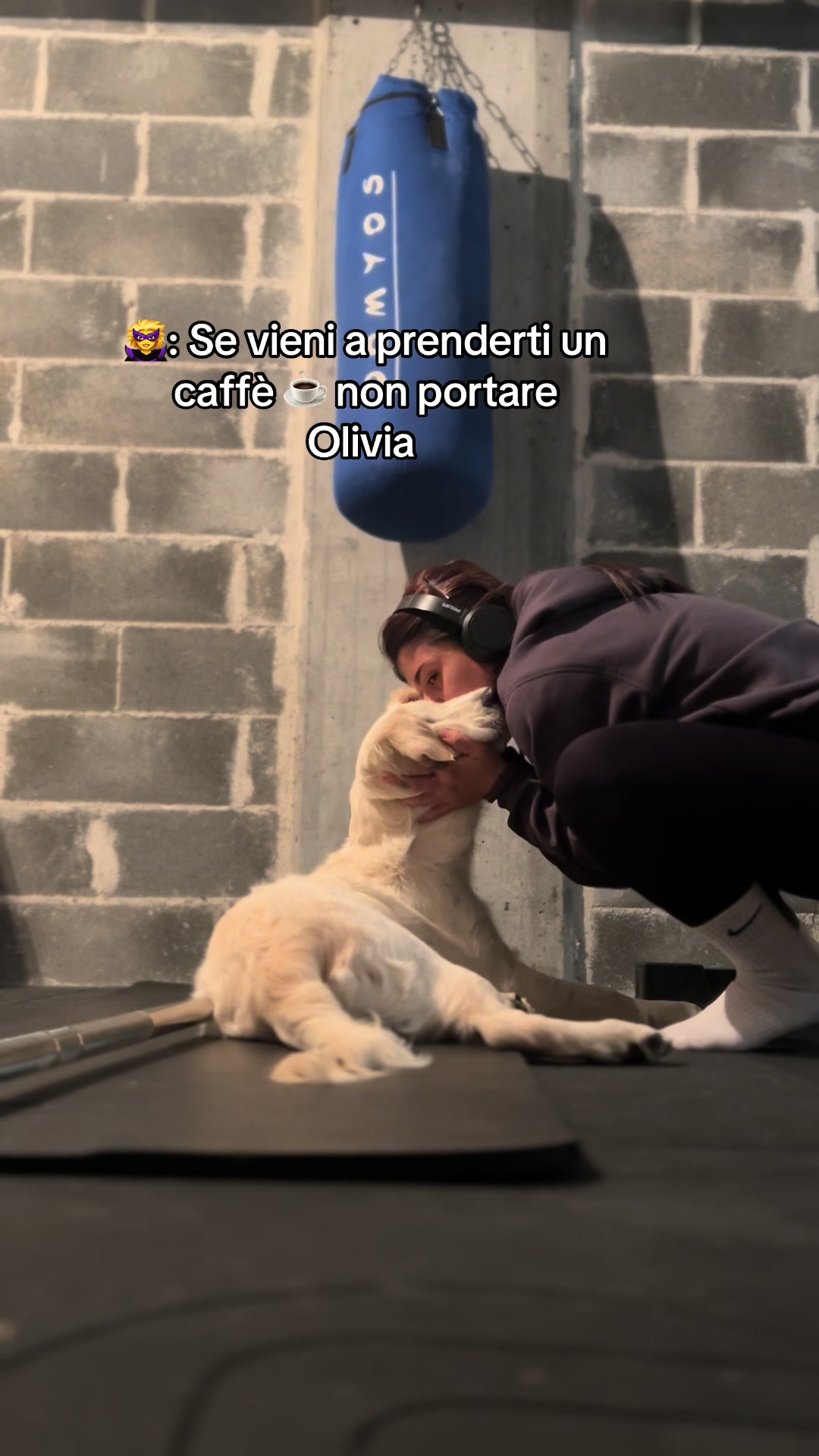 @Golden_OLIVIA.Retriver