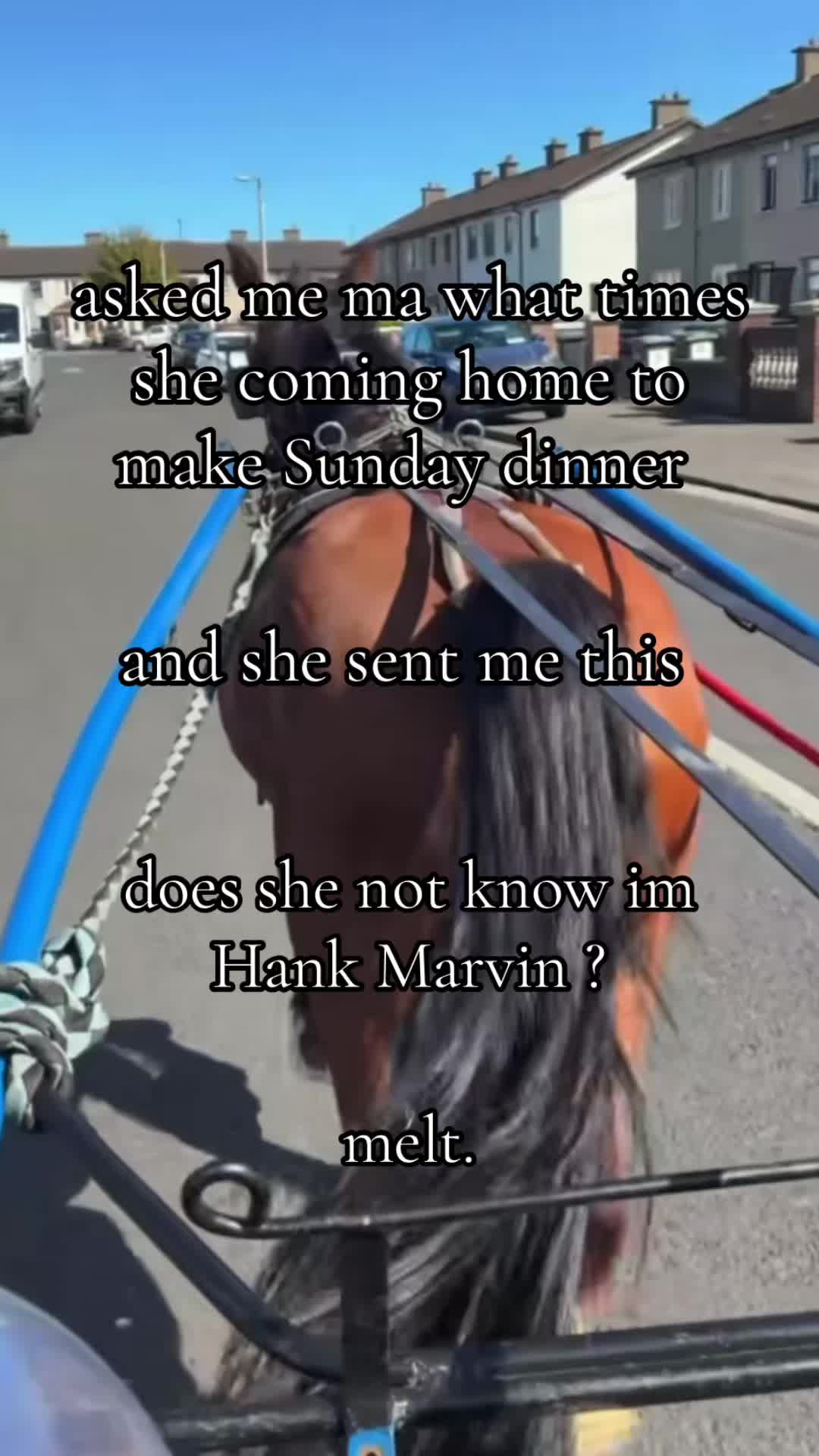 @alexmma