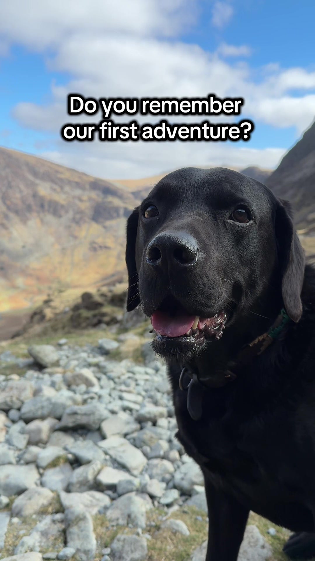 @Denzel The Labraseal