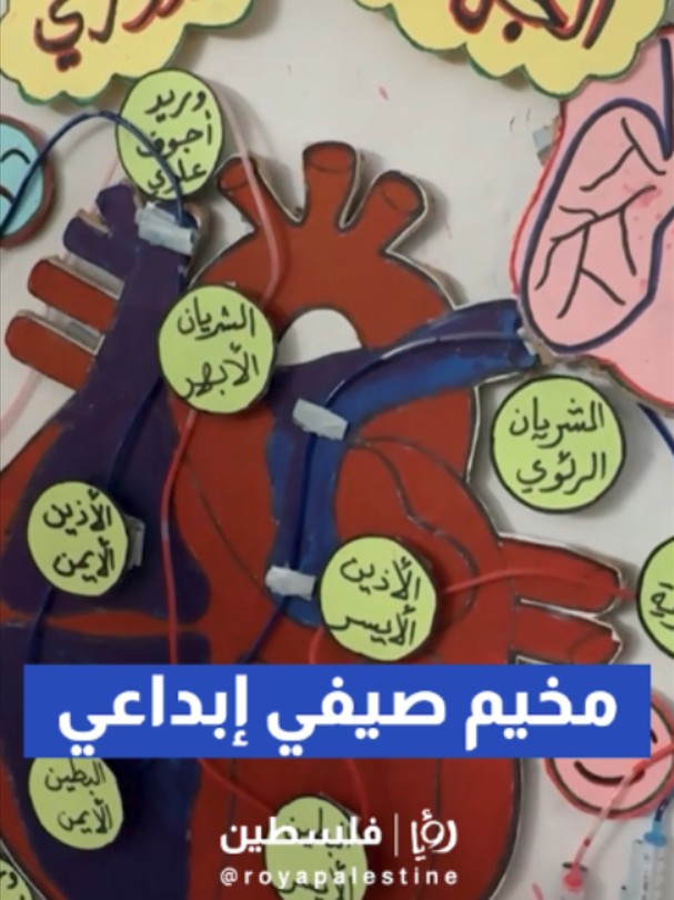 @Royapalestine رؤيا فلسطين
