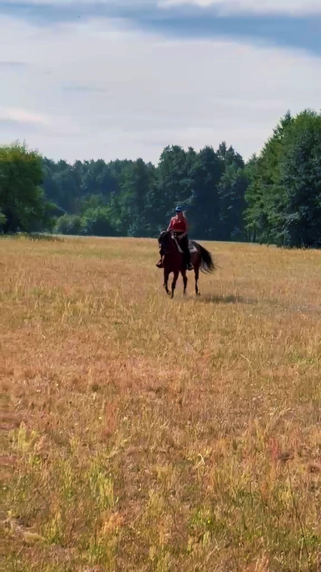 @Cestou Horsemanshipu