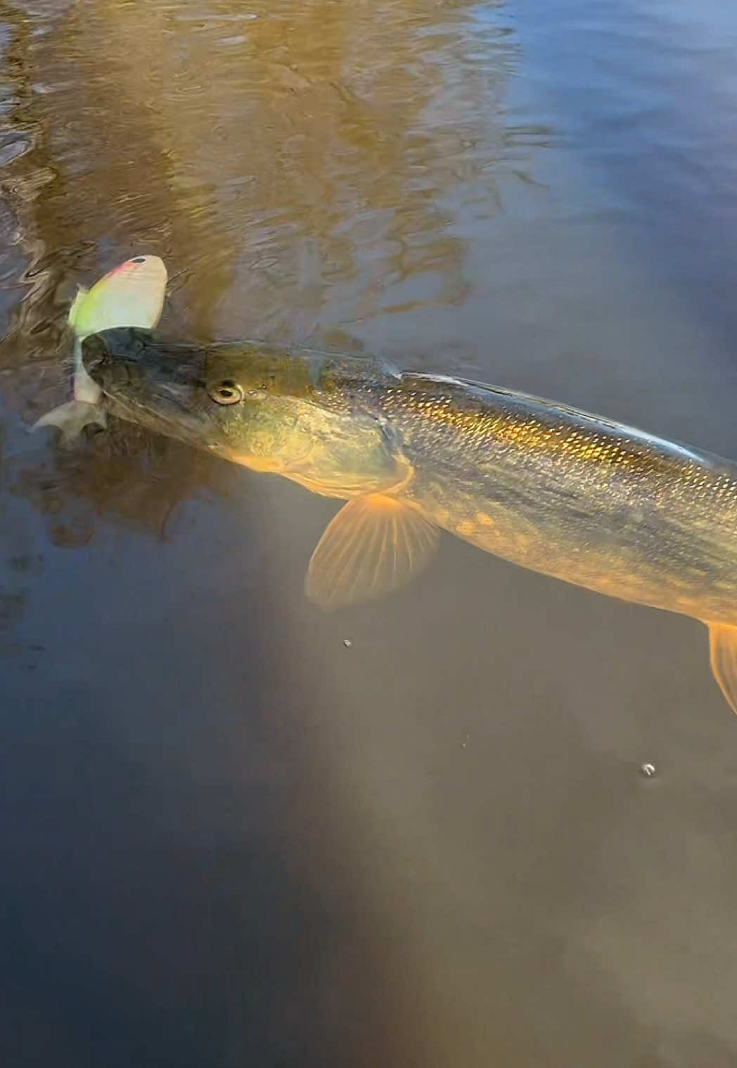 @Tackle Crew