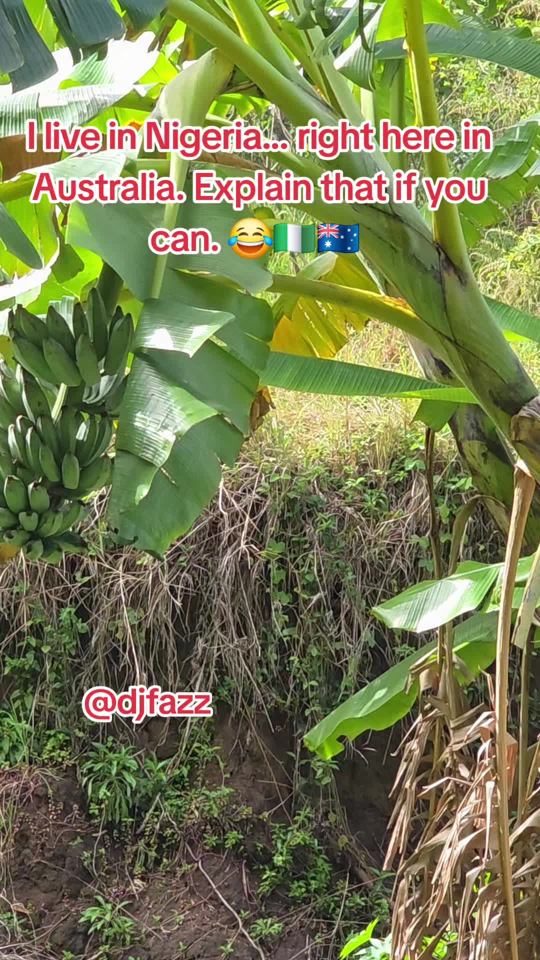 @DJFAZZ 🇳🇬🇦🇺🇫🇮🇬🇲
