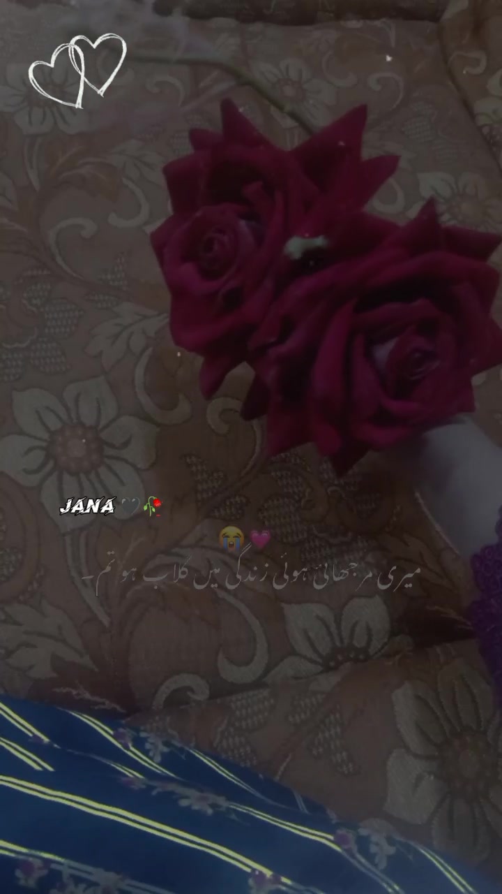 @Muskan Malik doll 4