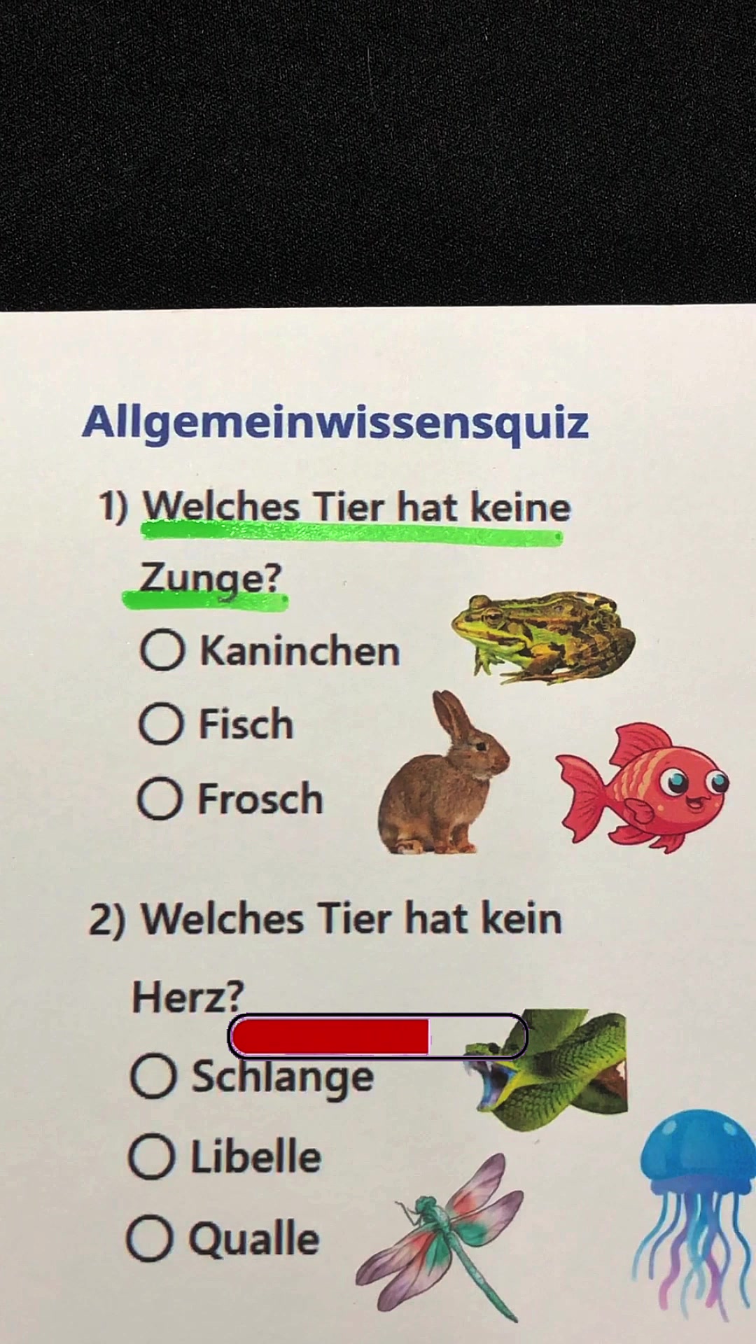 @Base Quiz