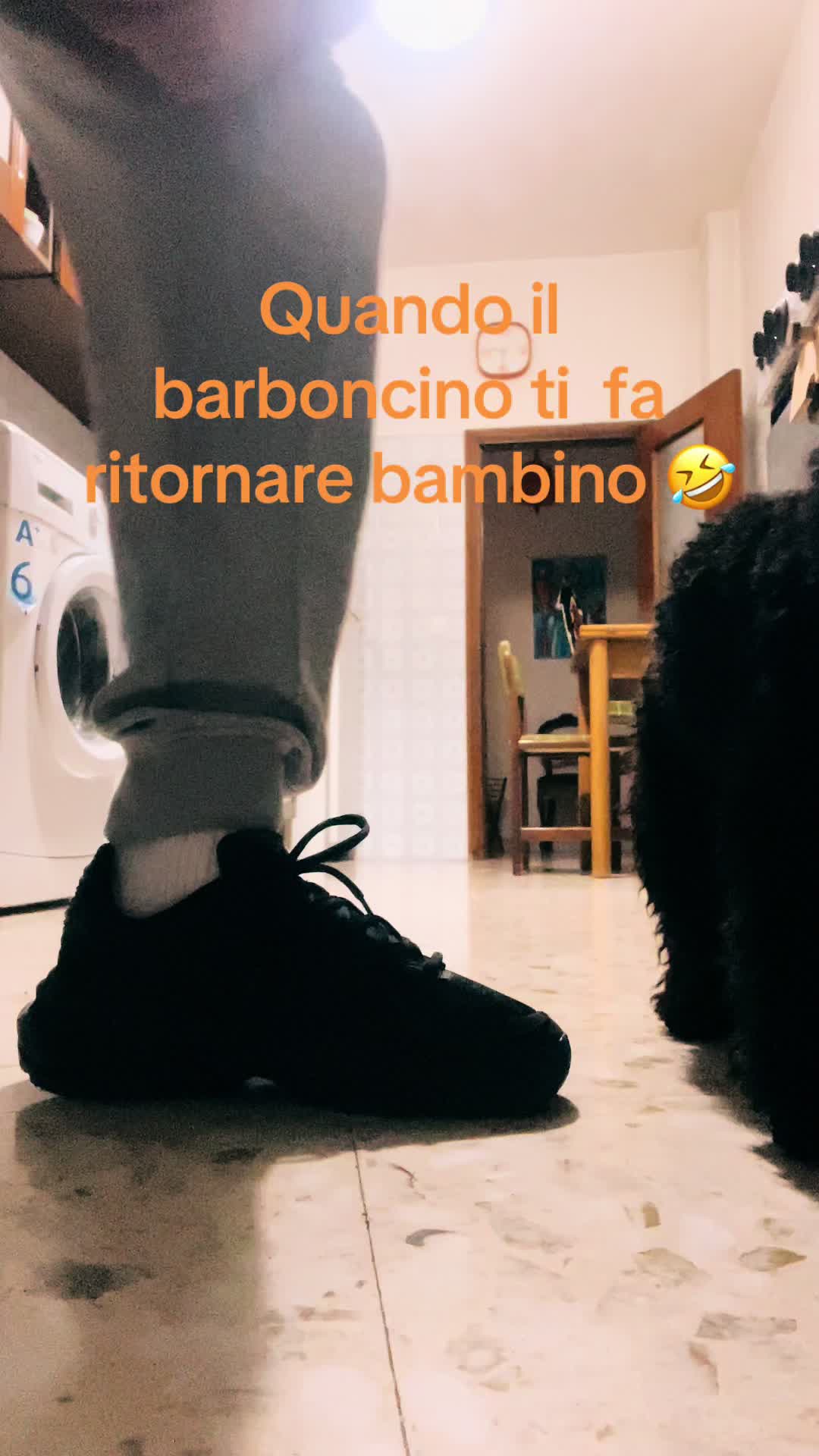 @alemangioo