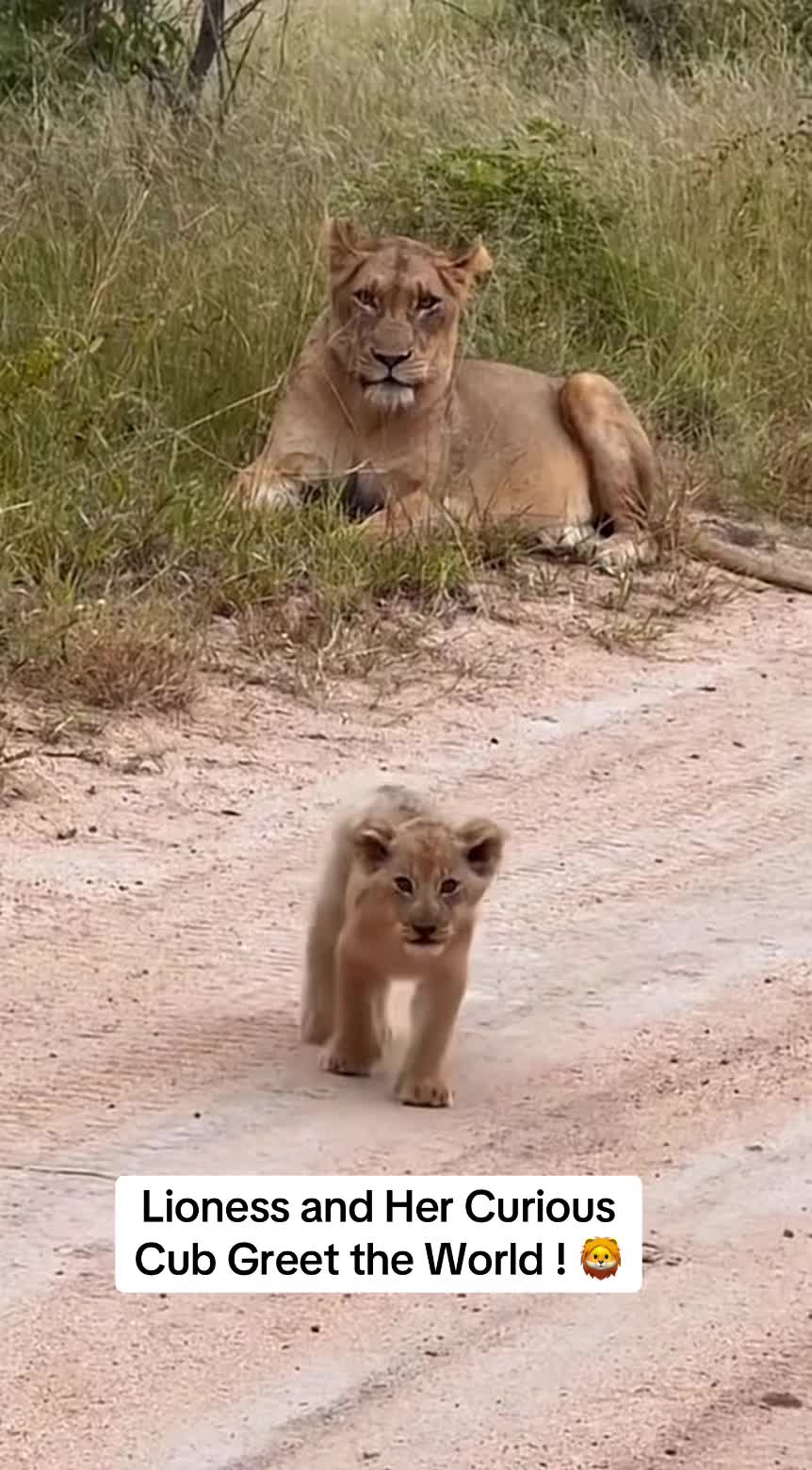 @Nature.best