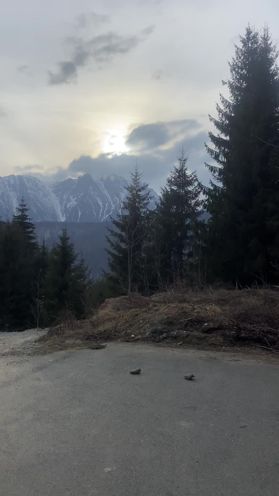 @Moldoveanu Alexandru