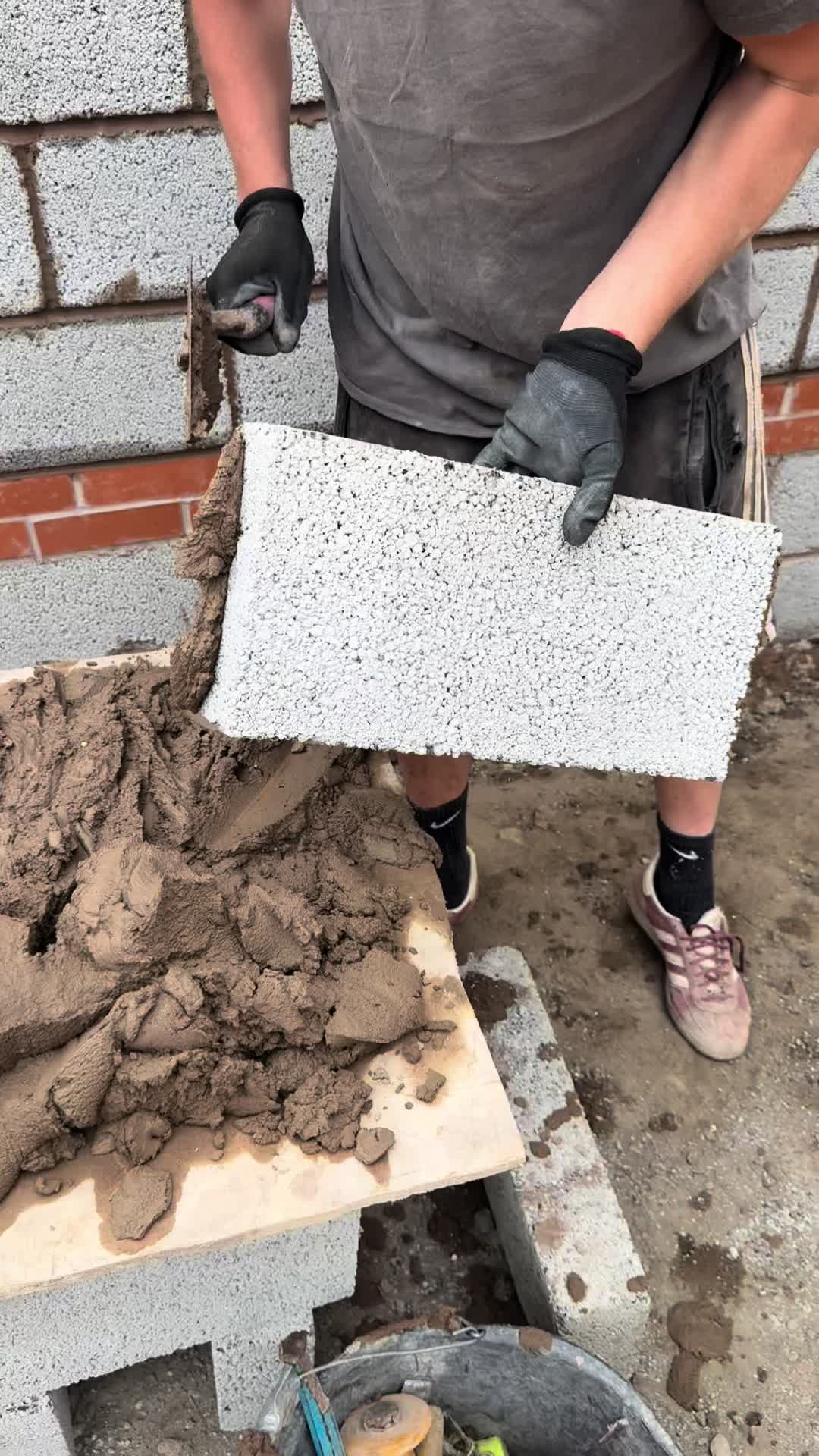 @HouseReno88