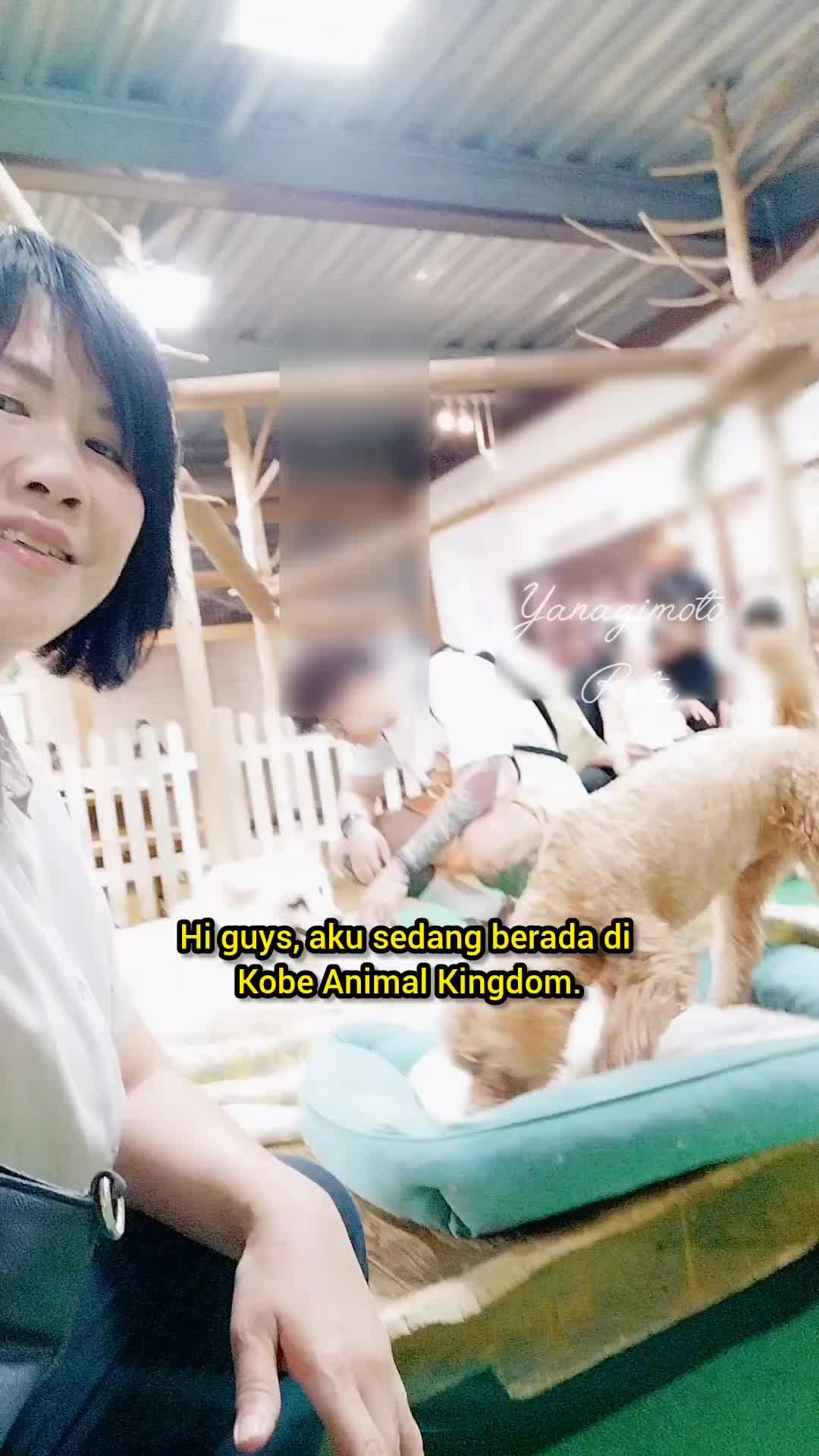 @retajapan