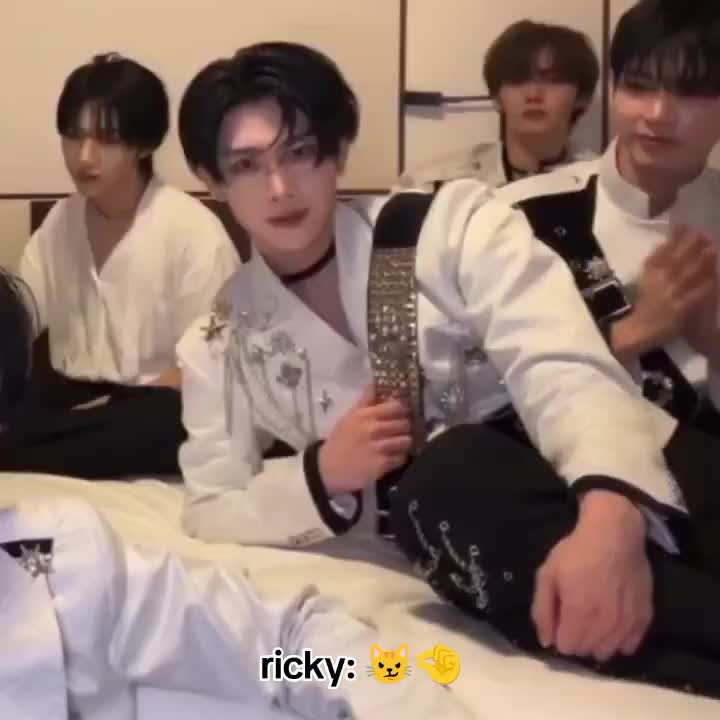@rui ! 🐈