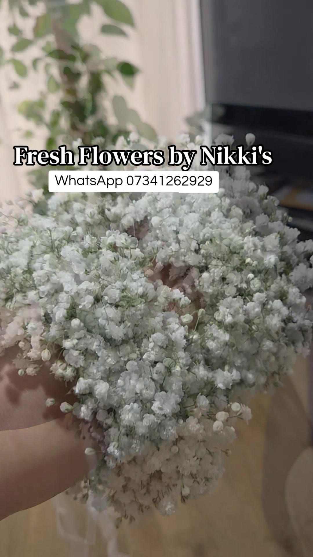 @Nikki's Event Decorators