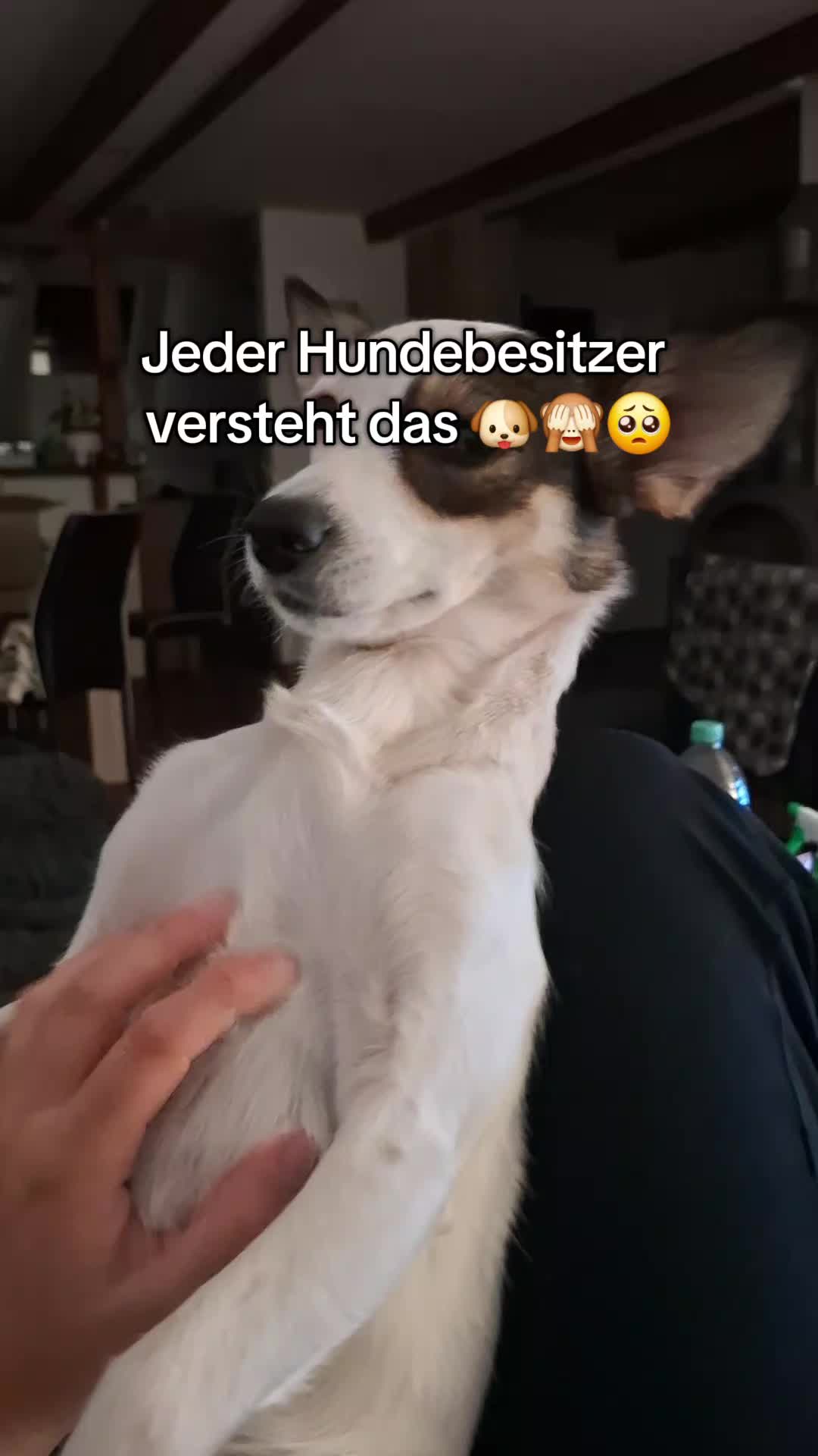 @Maya und Hexe 💔🌈