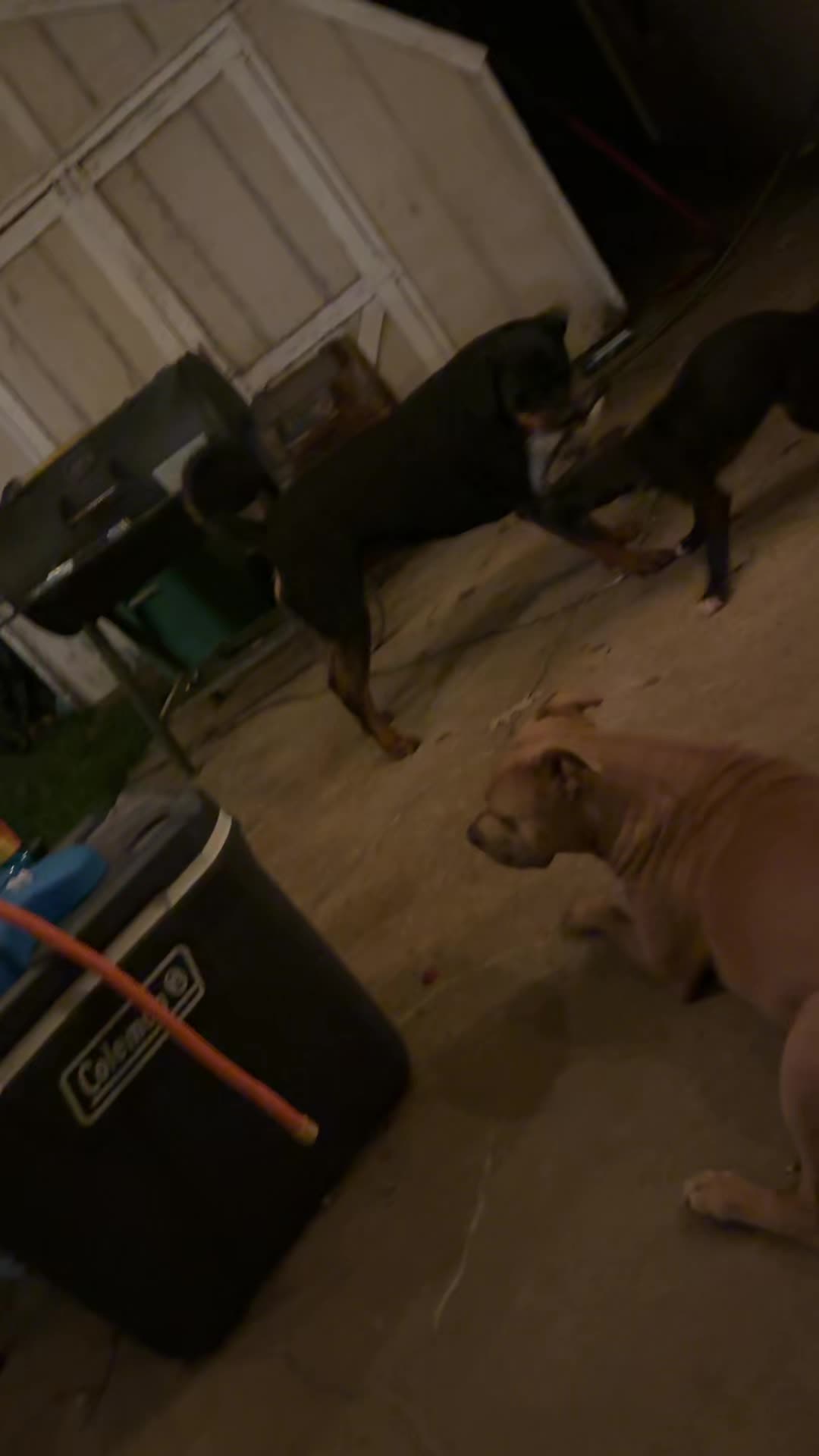 @TheHobsonSquad