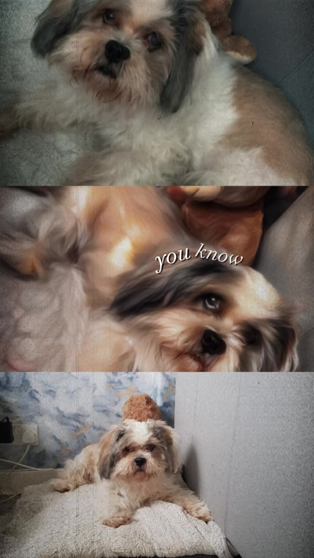 @Lisa