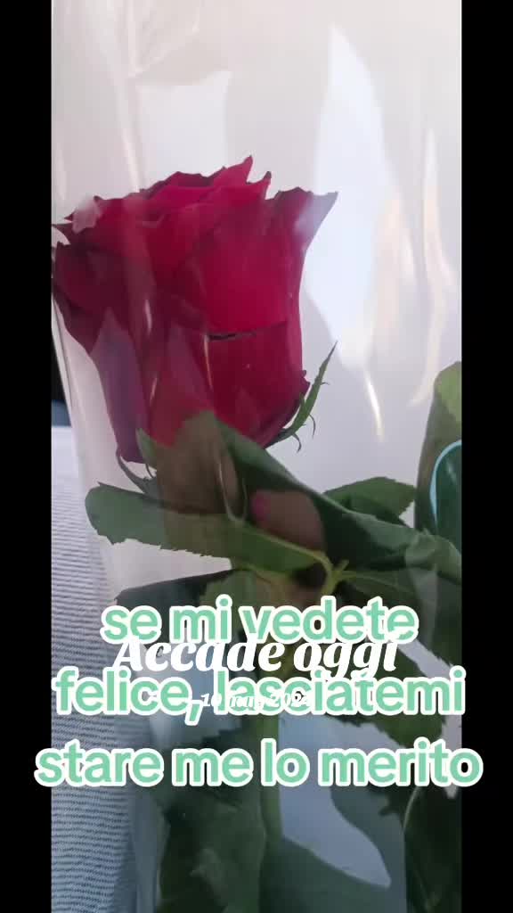 @Valentina_brin