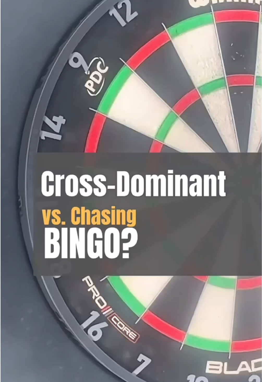 @Helena Darts