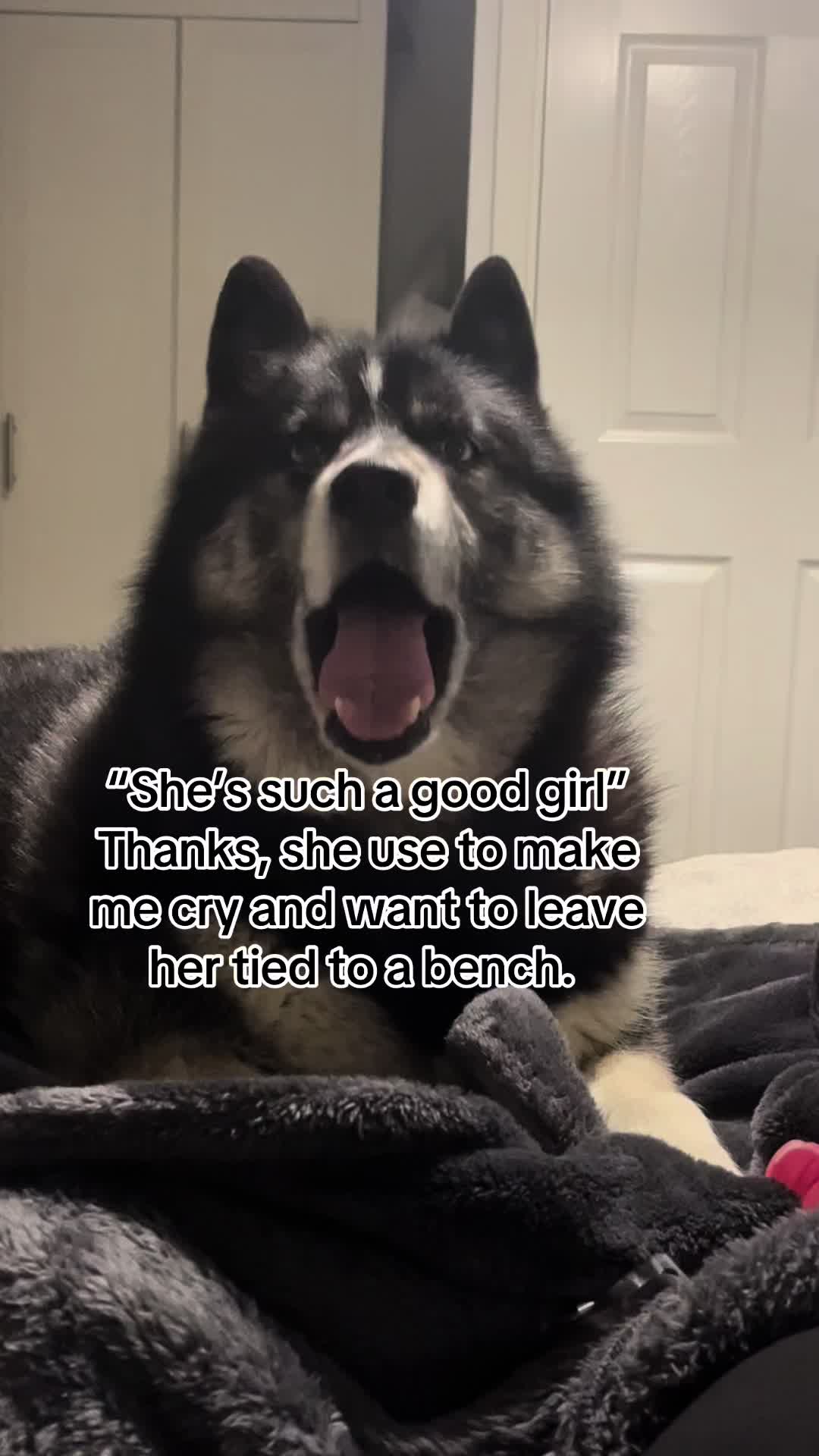 @Nicole