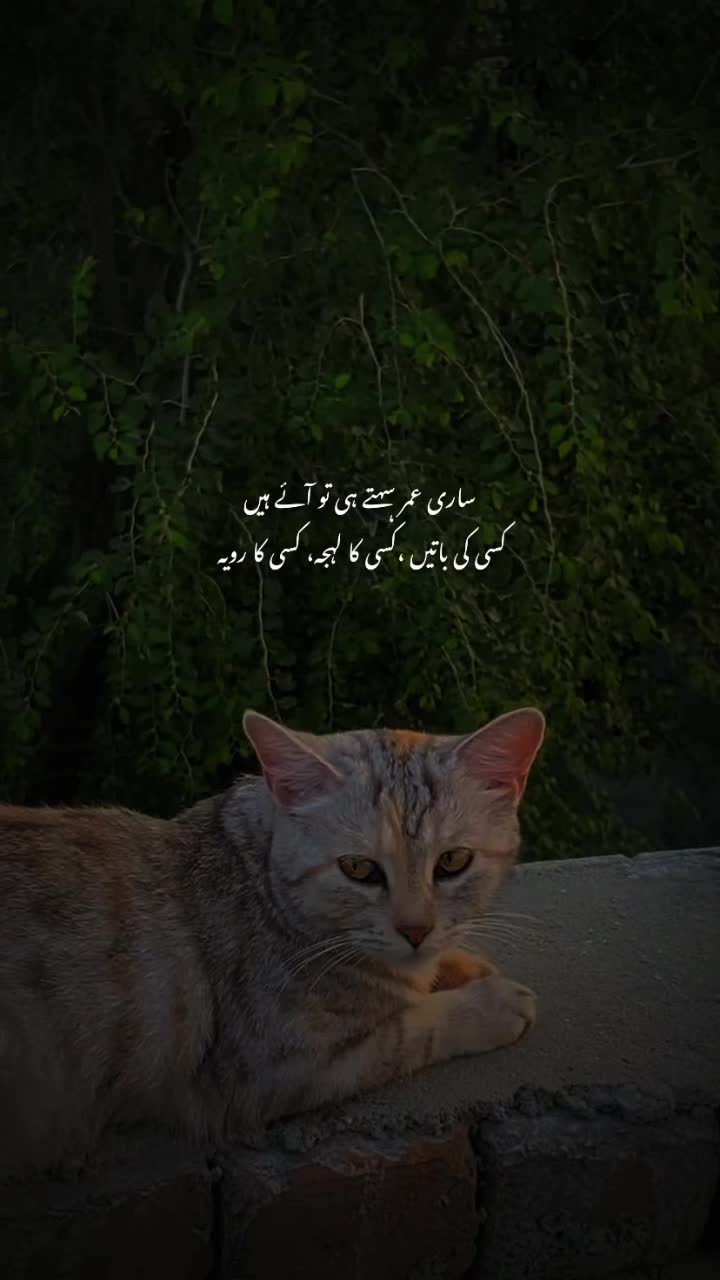 @𝙏𝙖𝙡𝙝𝙖 𝟐🫀❤️&zwj;🩹