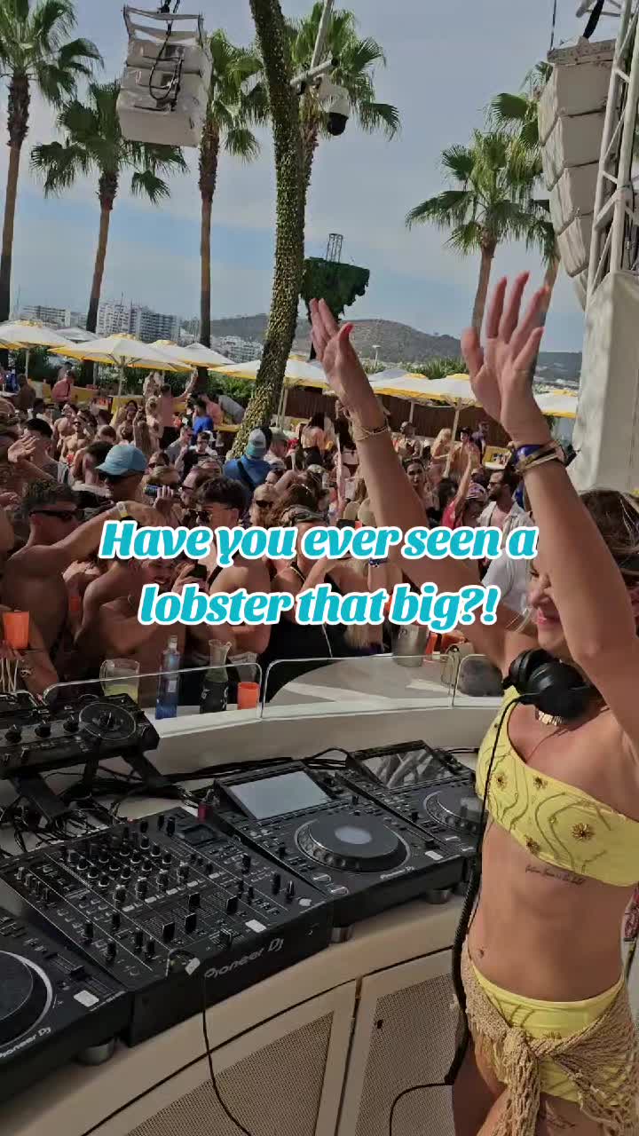 @jadebenidorm