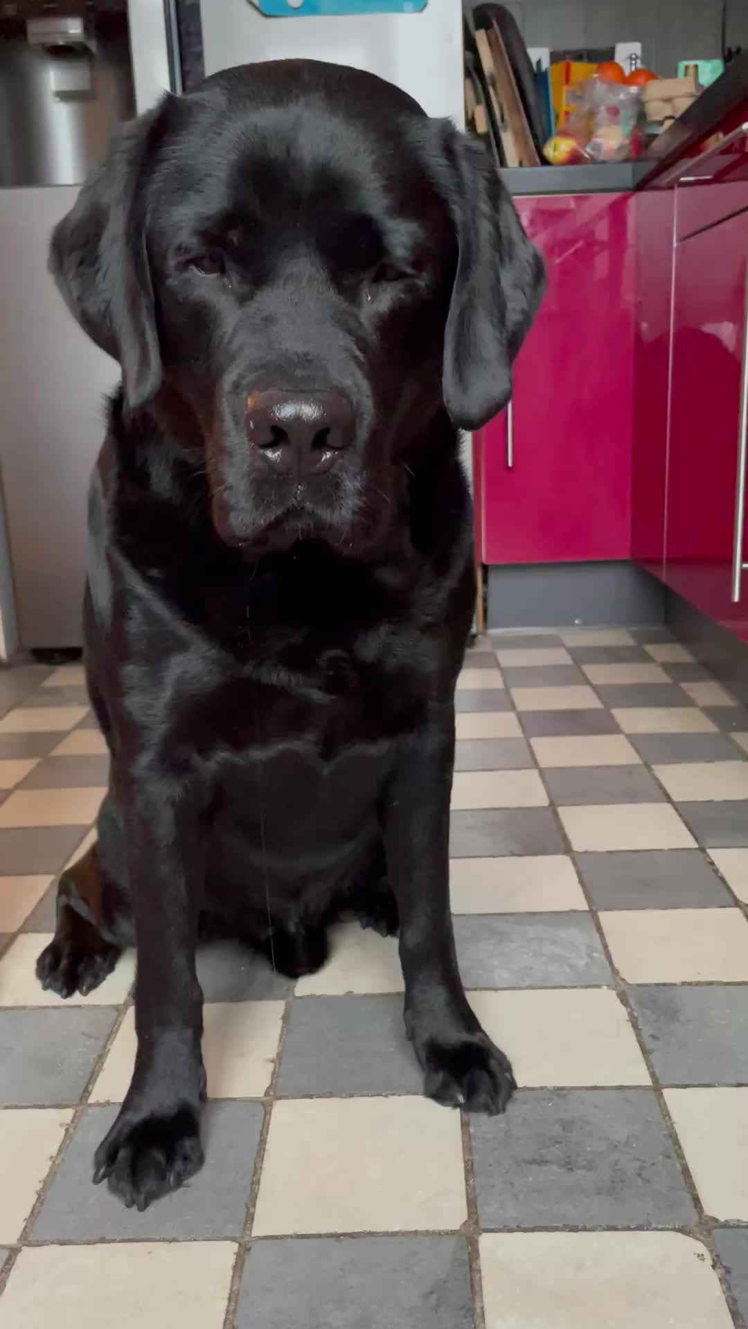 @BUDDIE