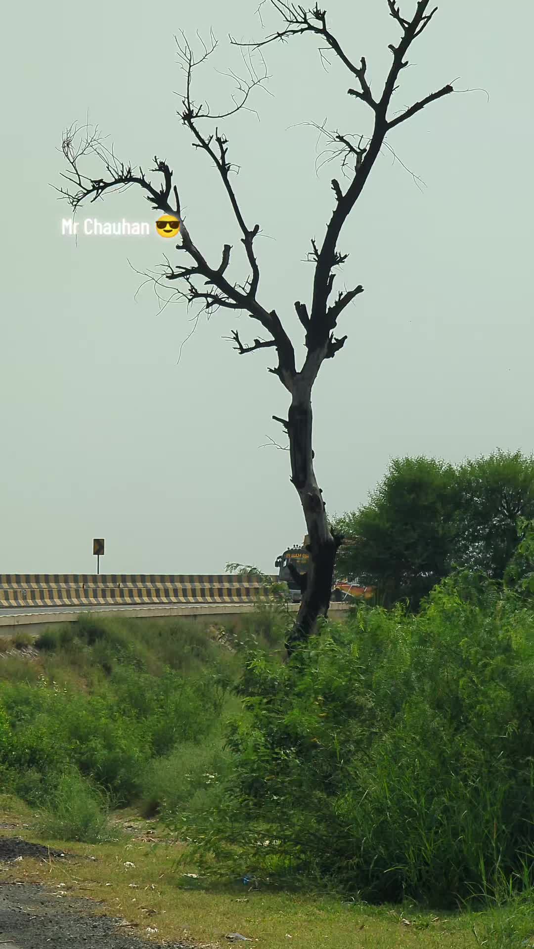 @Mr Chauhan ๐