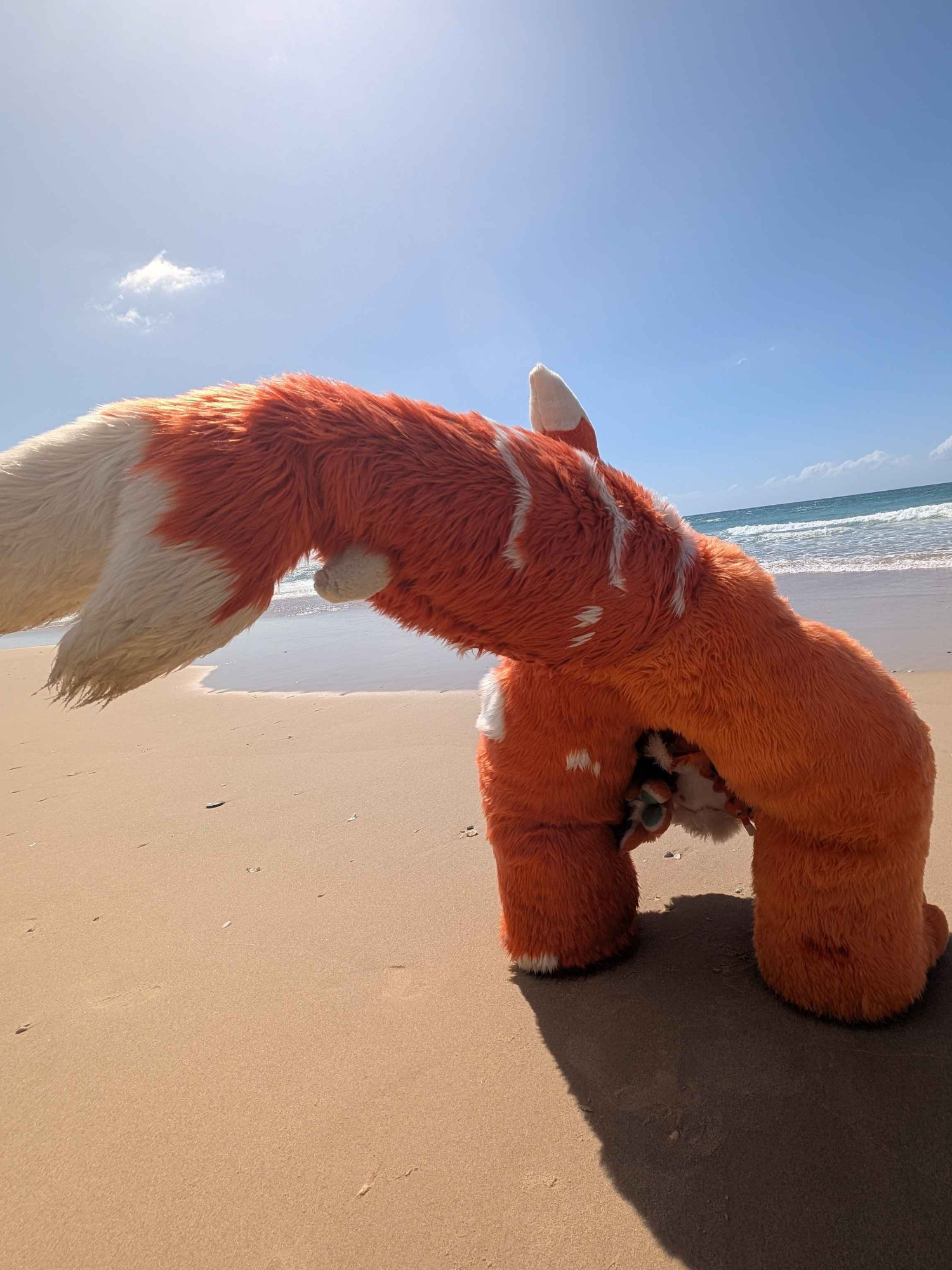 @radywolf