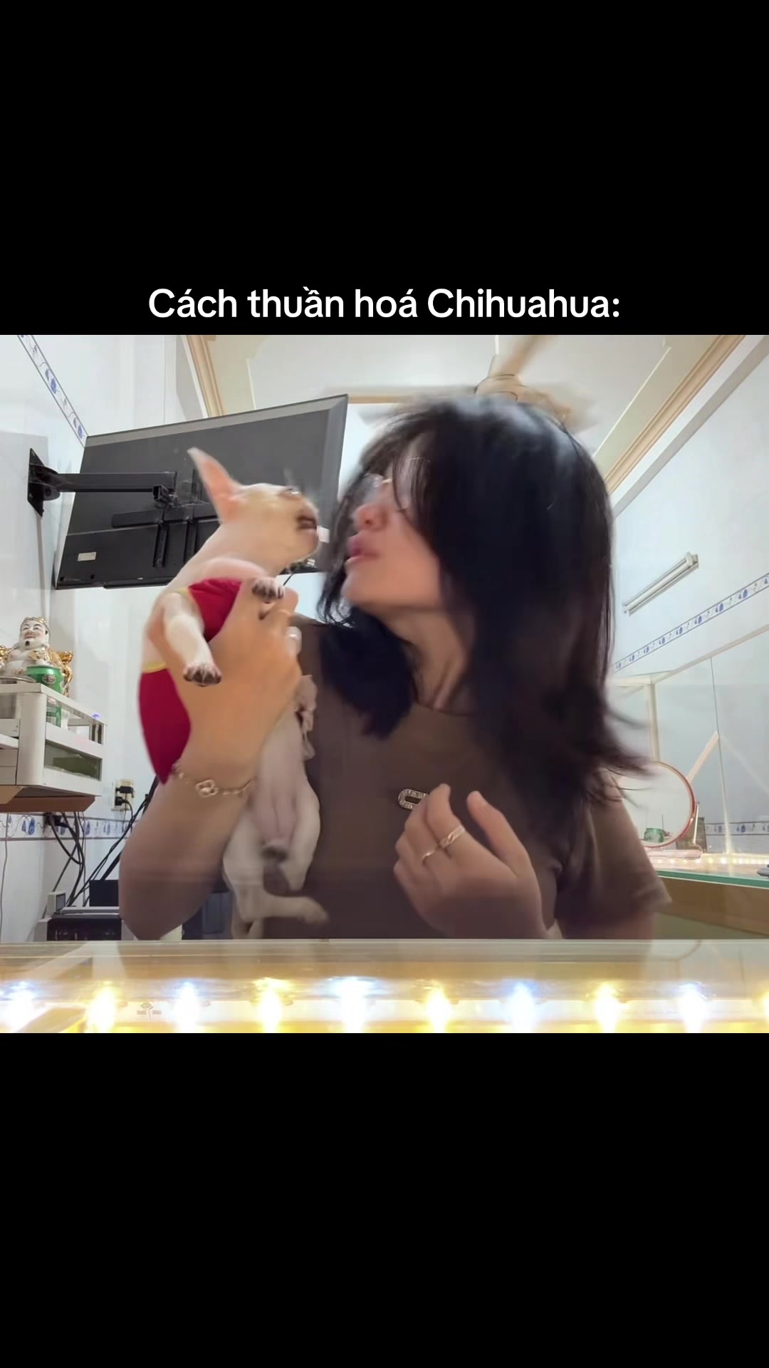 @L&uacute;n L&egrave;👽