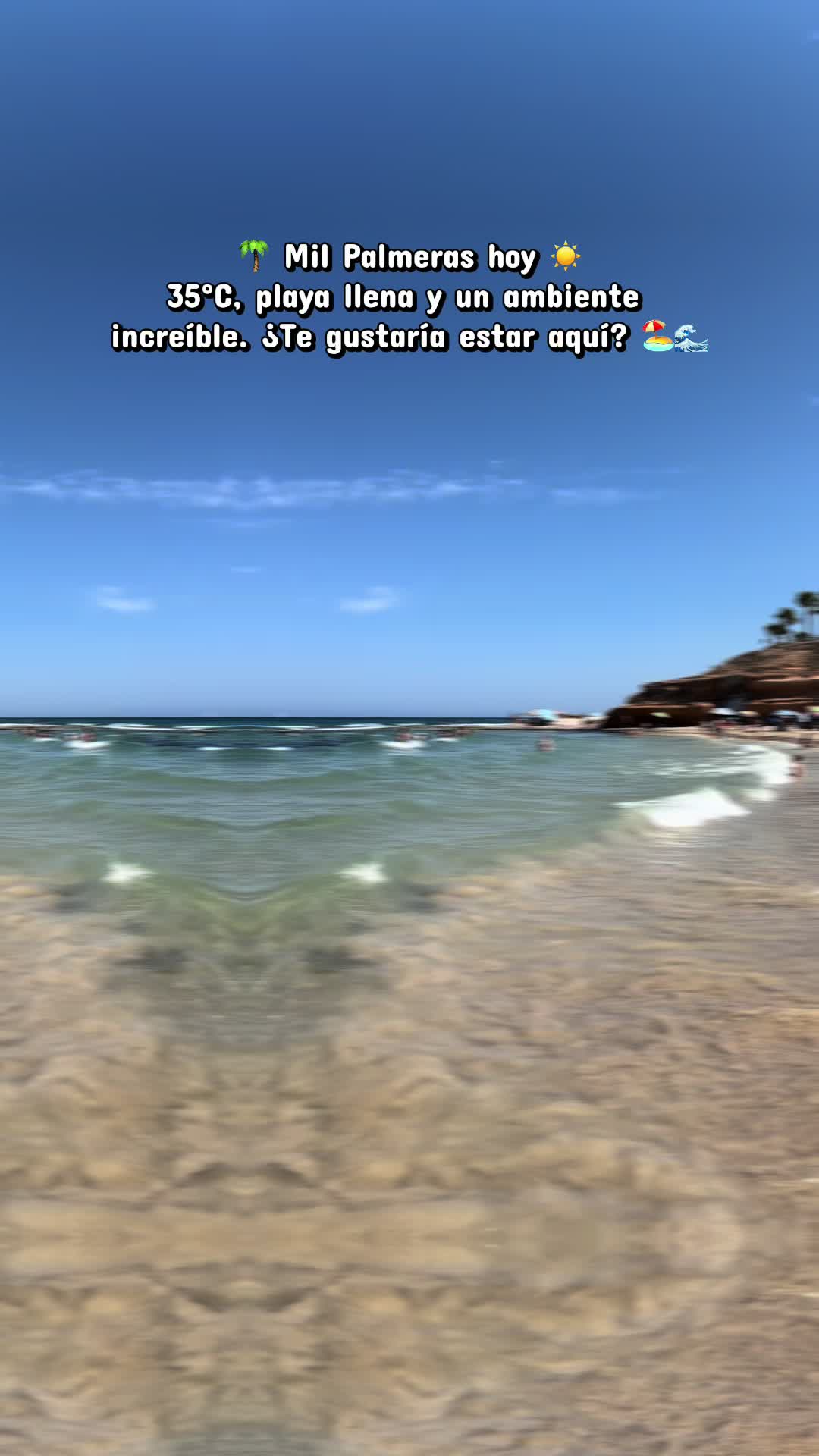 @rentacardapilardelahorad
