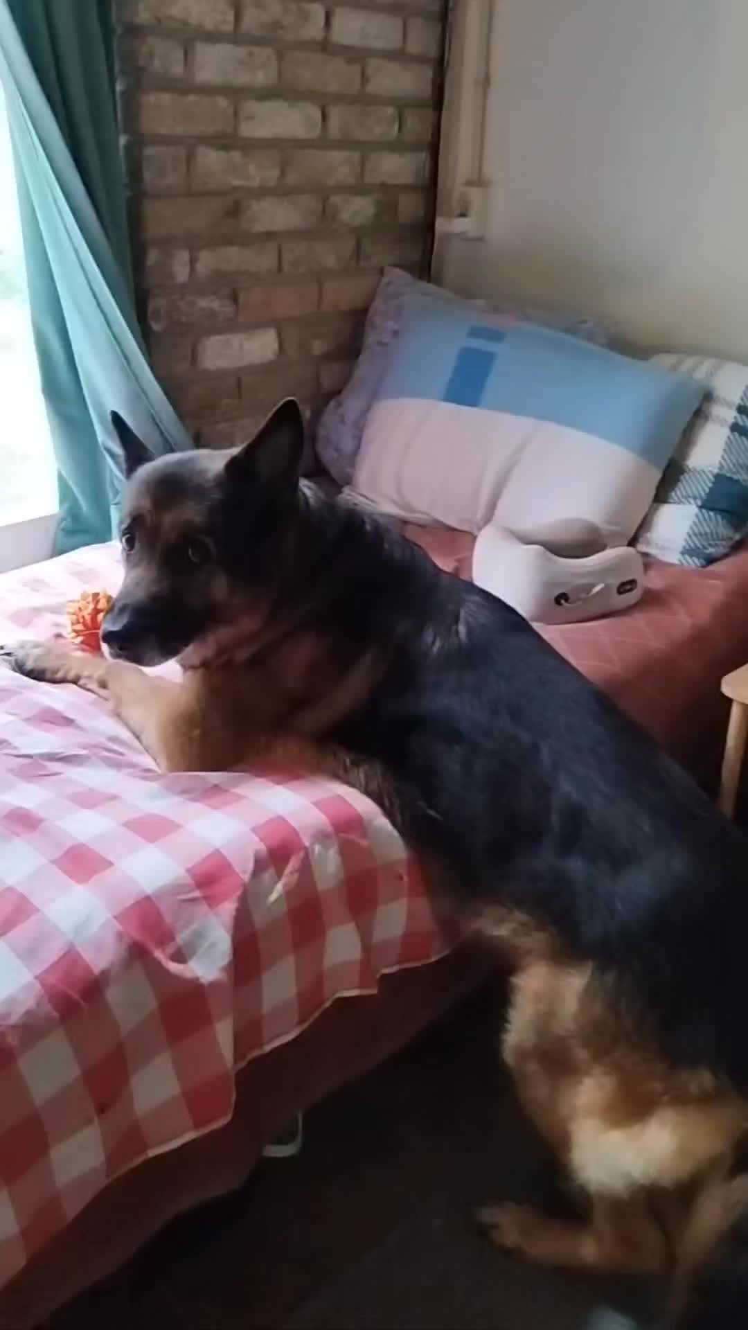 @oskar_mrpl