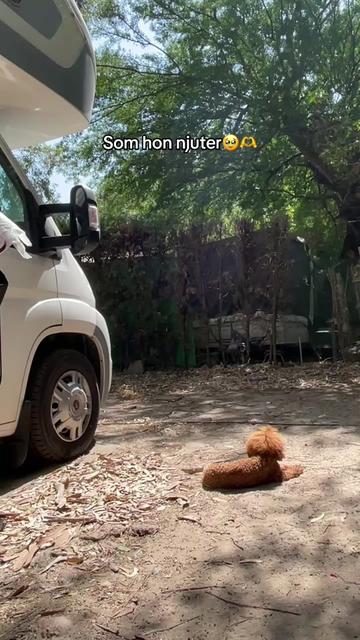 @Nova🦢Anso
