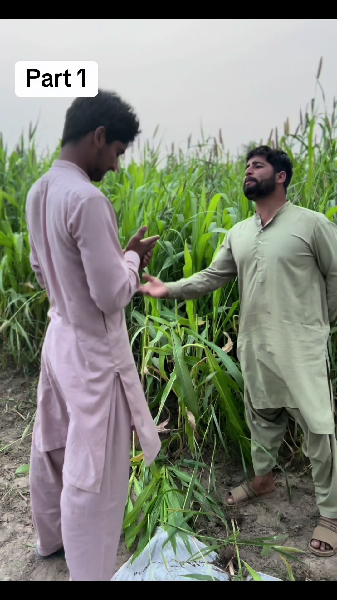 @پینڈو بوائز 378