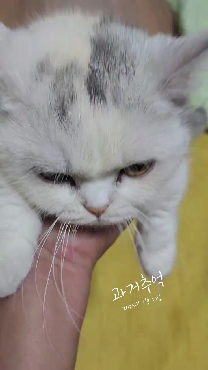 @박씨 거실