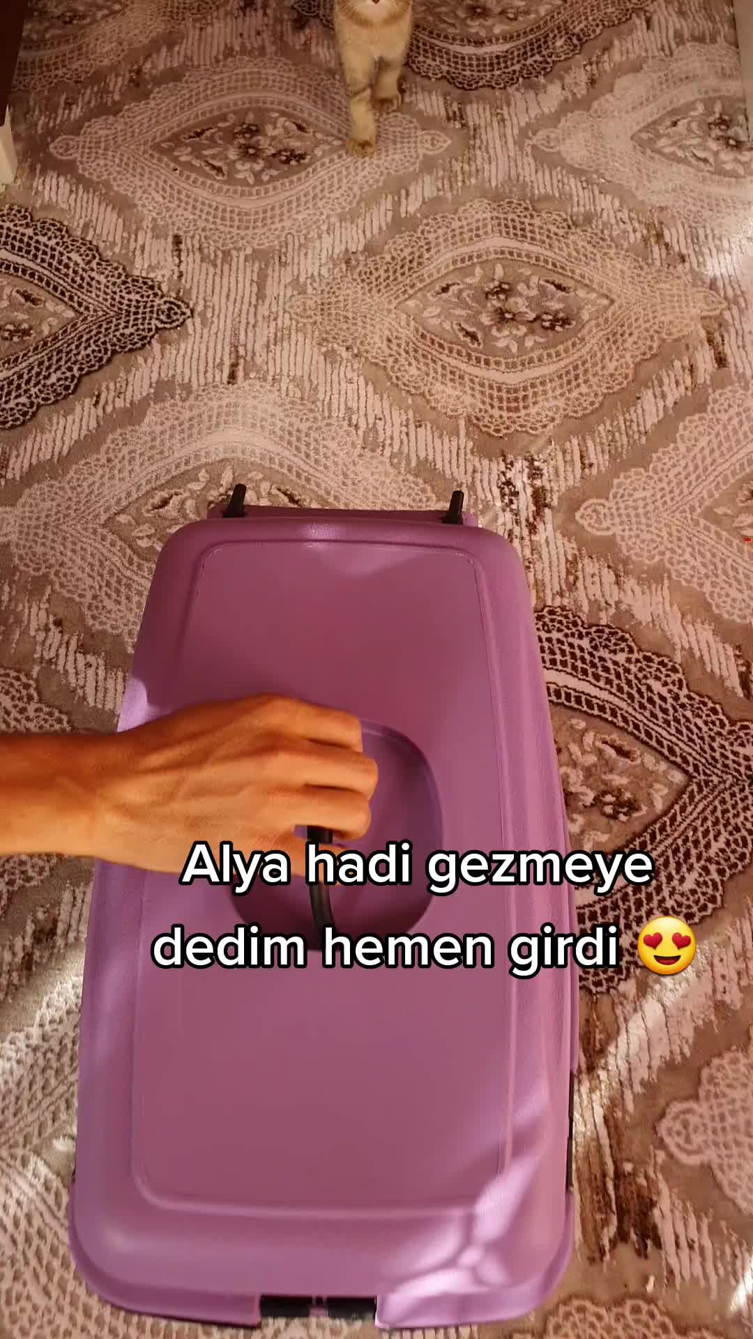 @Alya