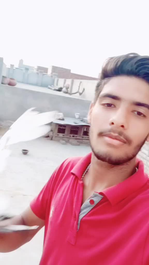 @Jaadu_11