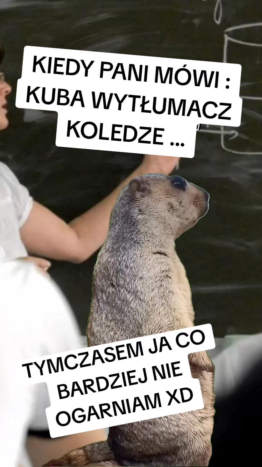 @KotWkapciachh