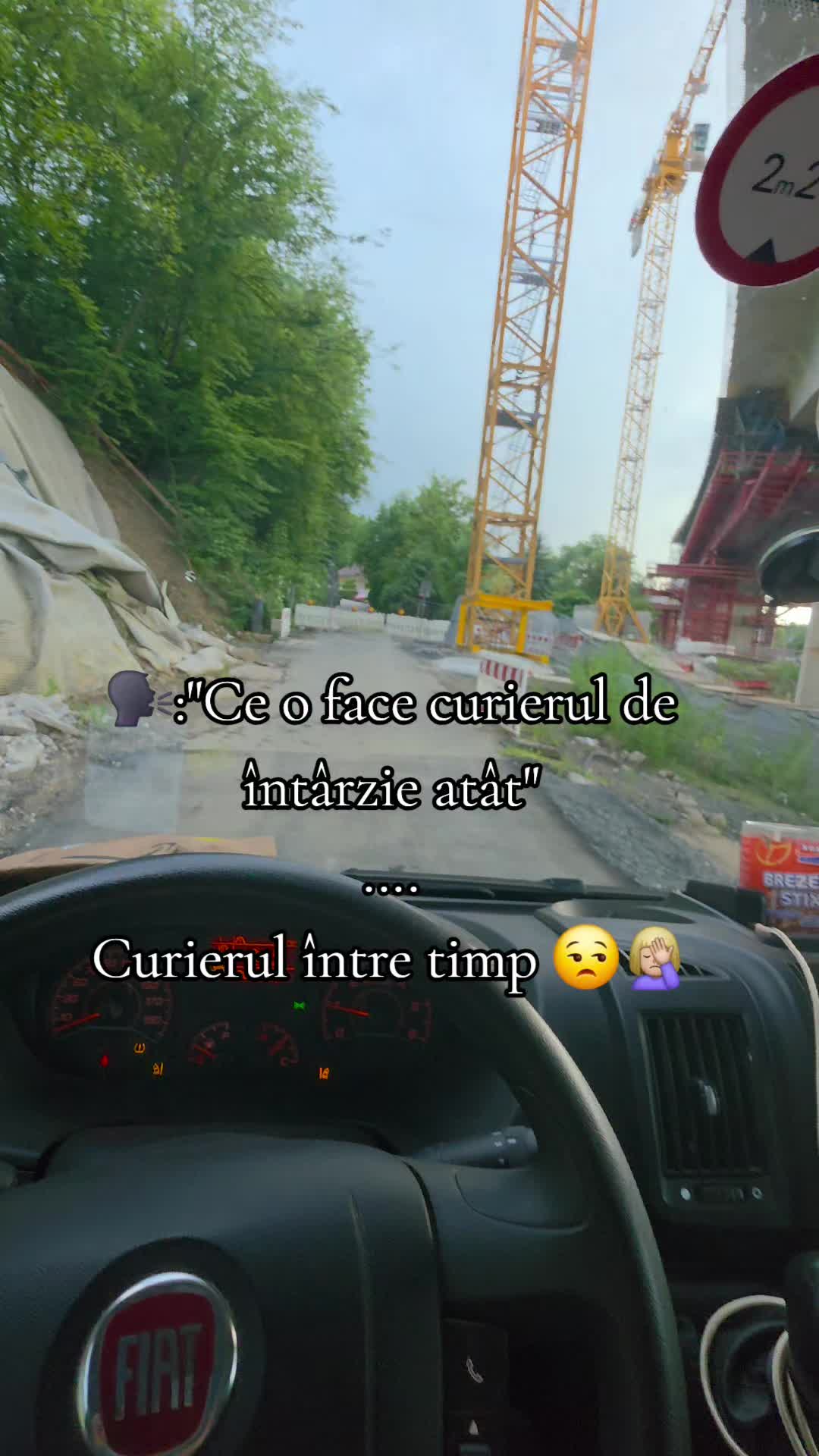 @Flavia