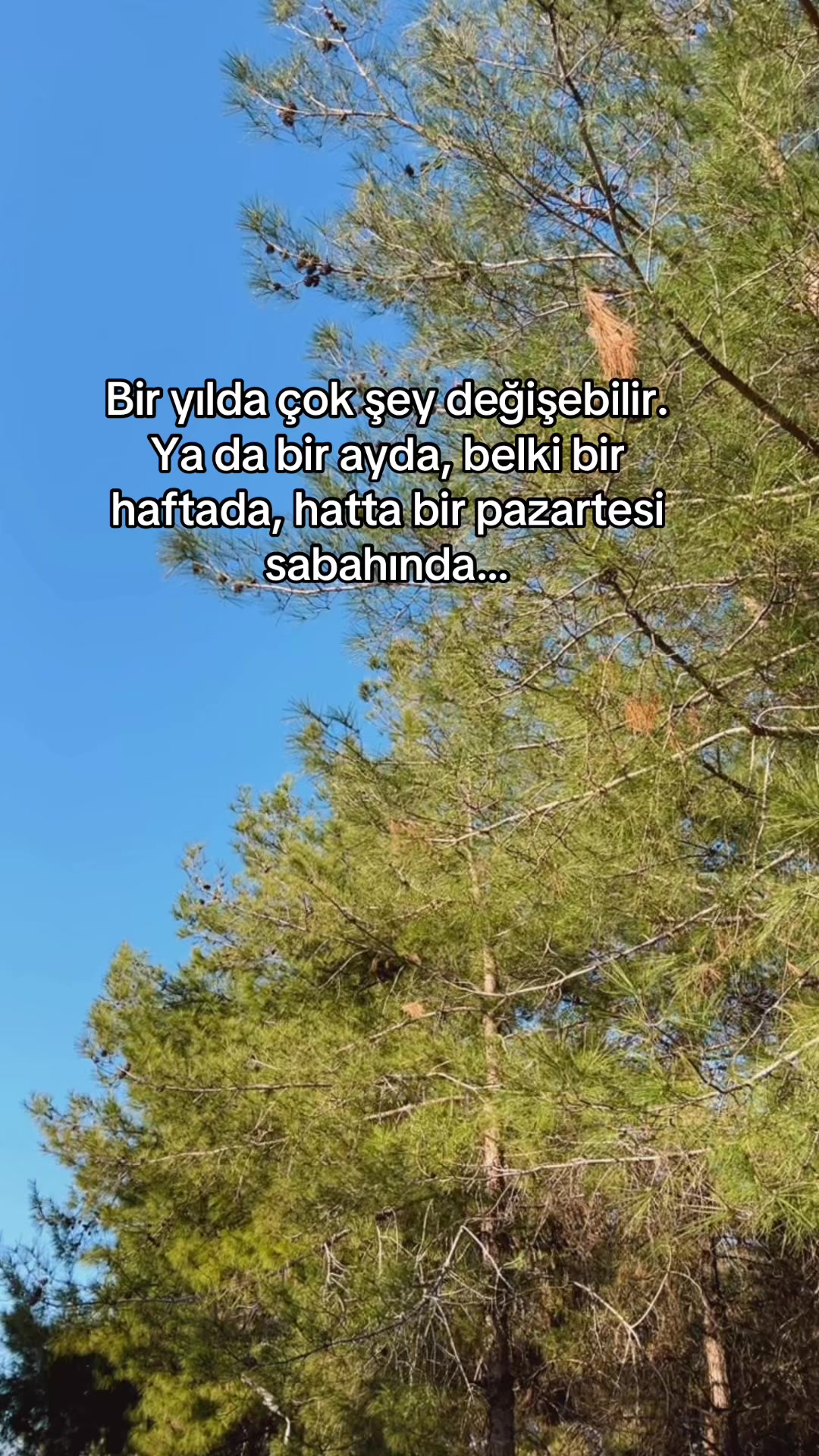 @M,G