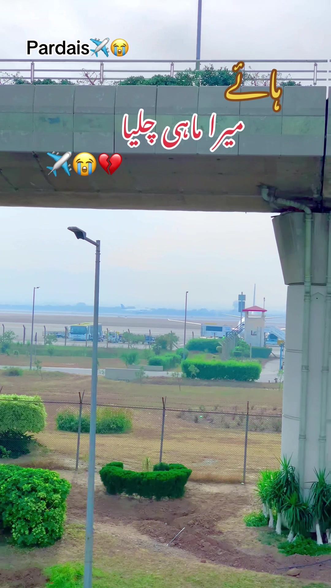 @محترمہ 🍁