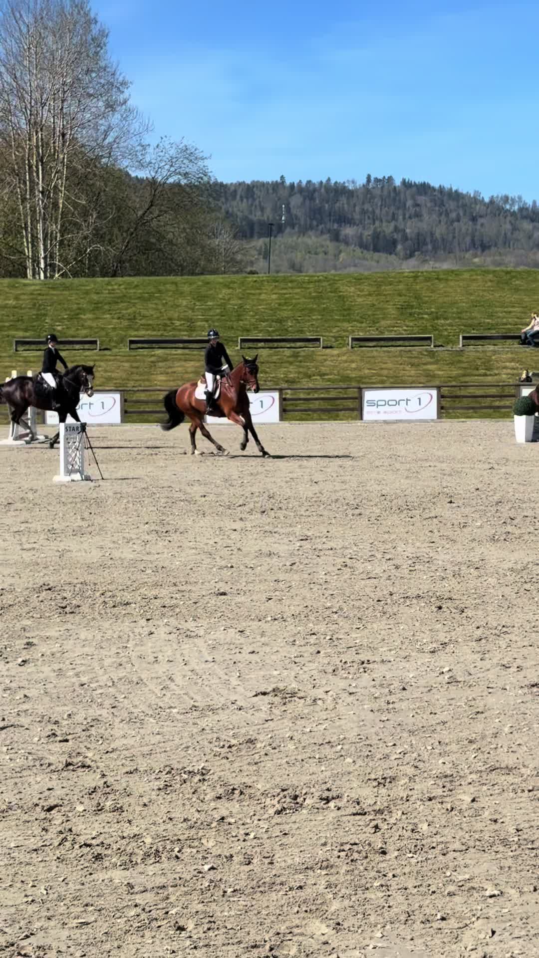 @hedda.equi