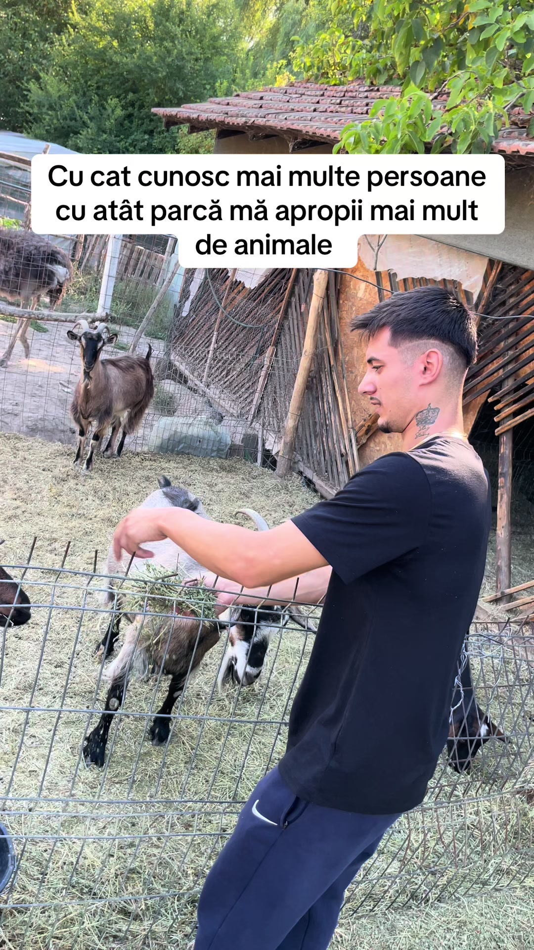 @Tălpeanu