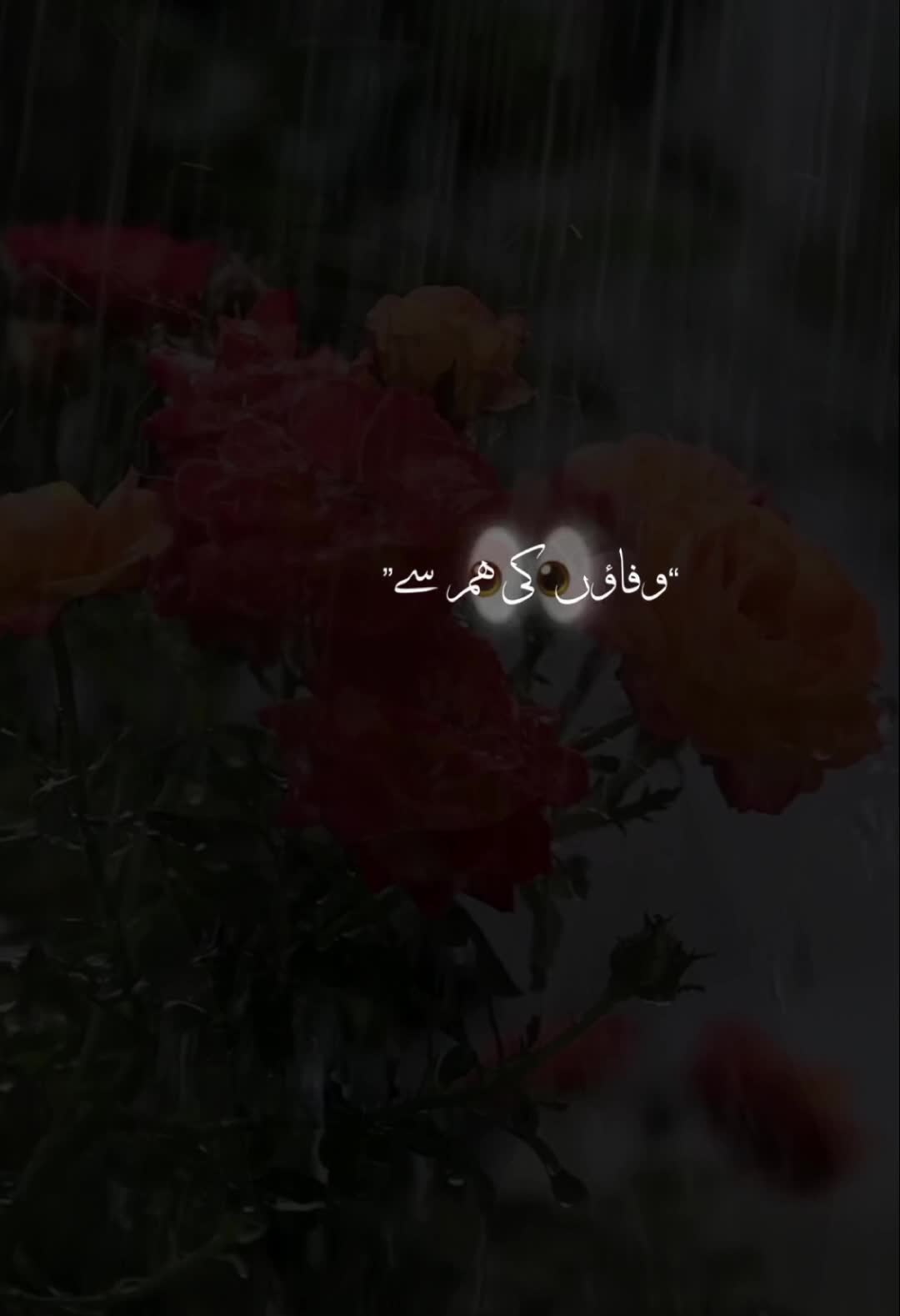 @KAMAL❤️❤️