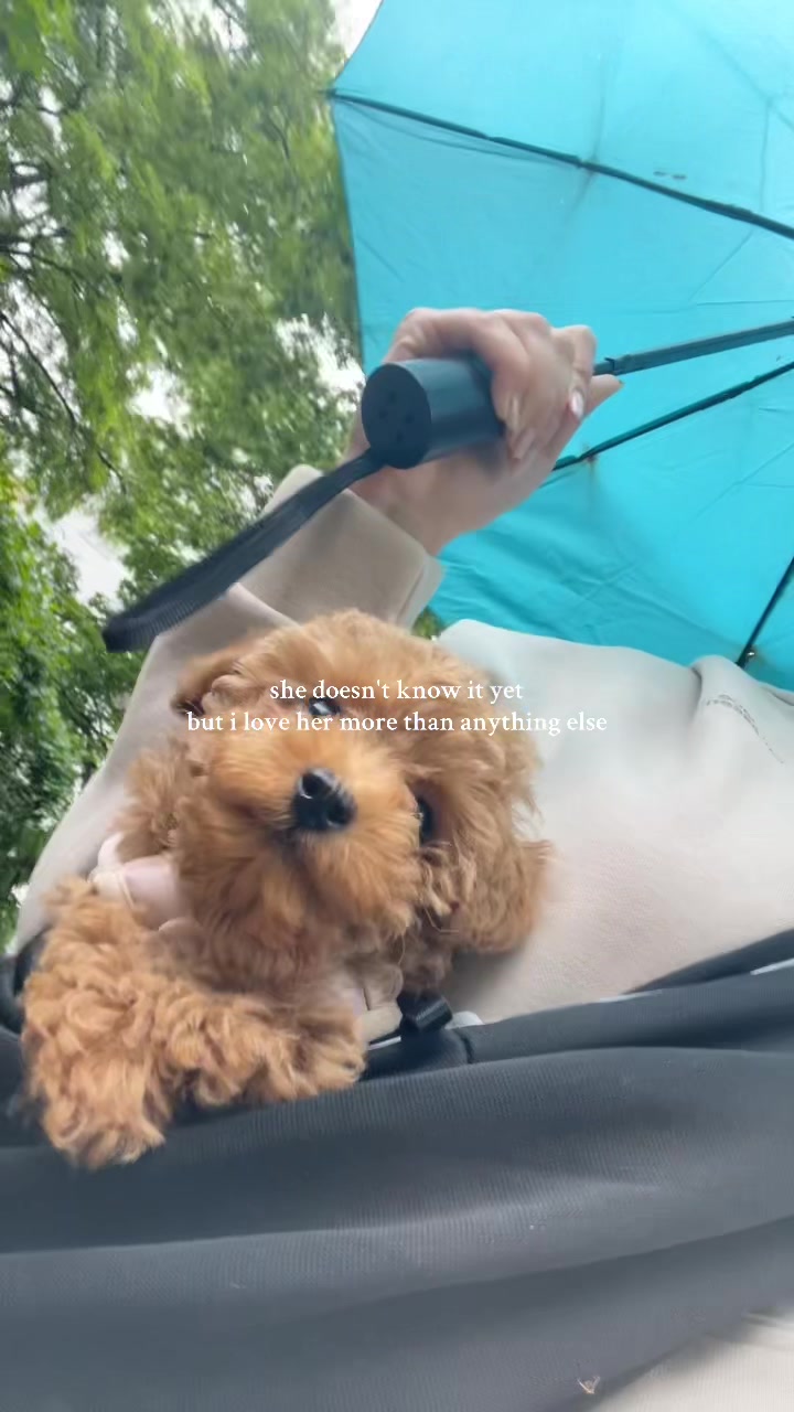 @mickythepoo | UGC Creator
