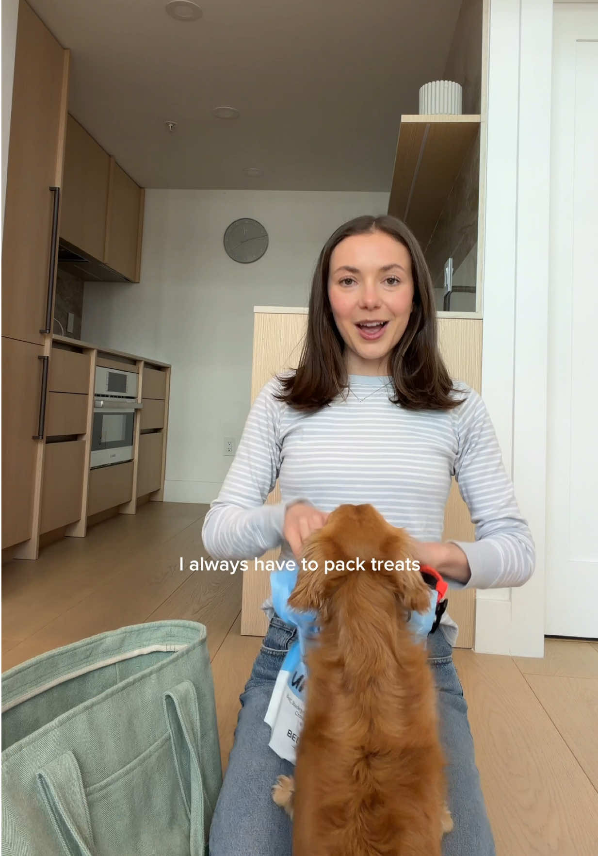 @cashewdachshund