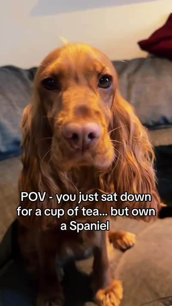 @Minnie & Dougie