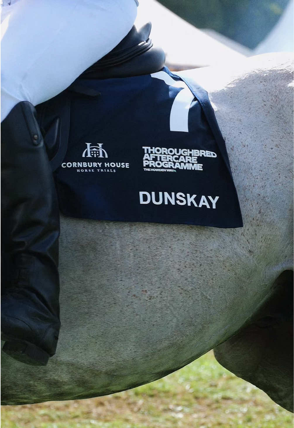 @HorseQuest - Horses for Sale
