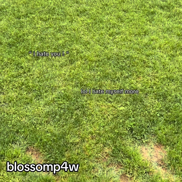 @ᡕᠵ᠊ᡃ່࡚ࠢ࠘ ⸝່ࠡࠣ᠊߯᠆ࠣ࠘ᡁࠣ࠘᠊᠊ࠢ࠘𐡏