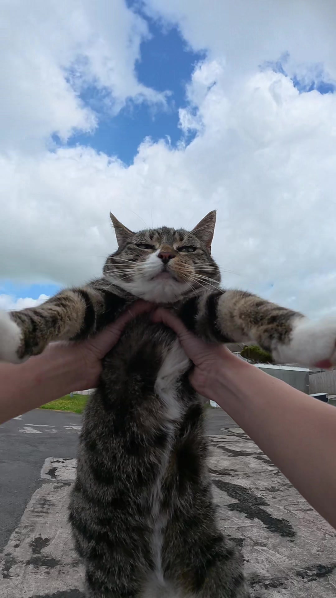 @Mittens
