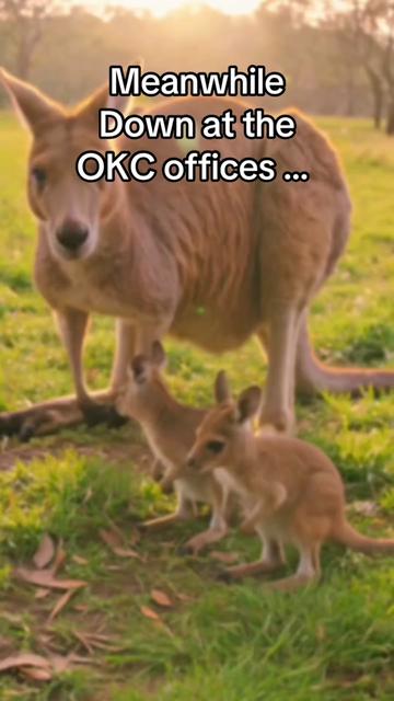 @OK competitions